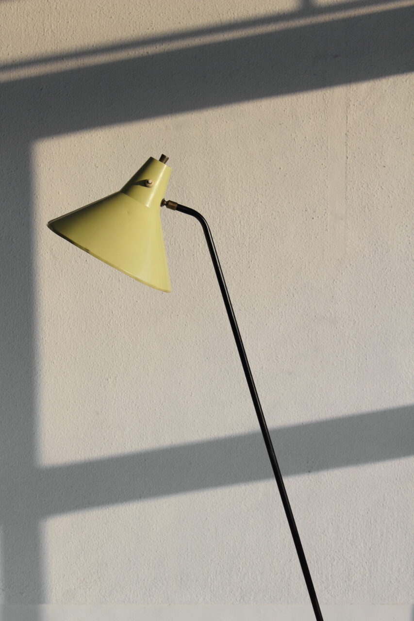 WILLEM VAN DOORN / GRASSHOPPER FLOOR LAMP