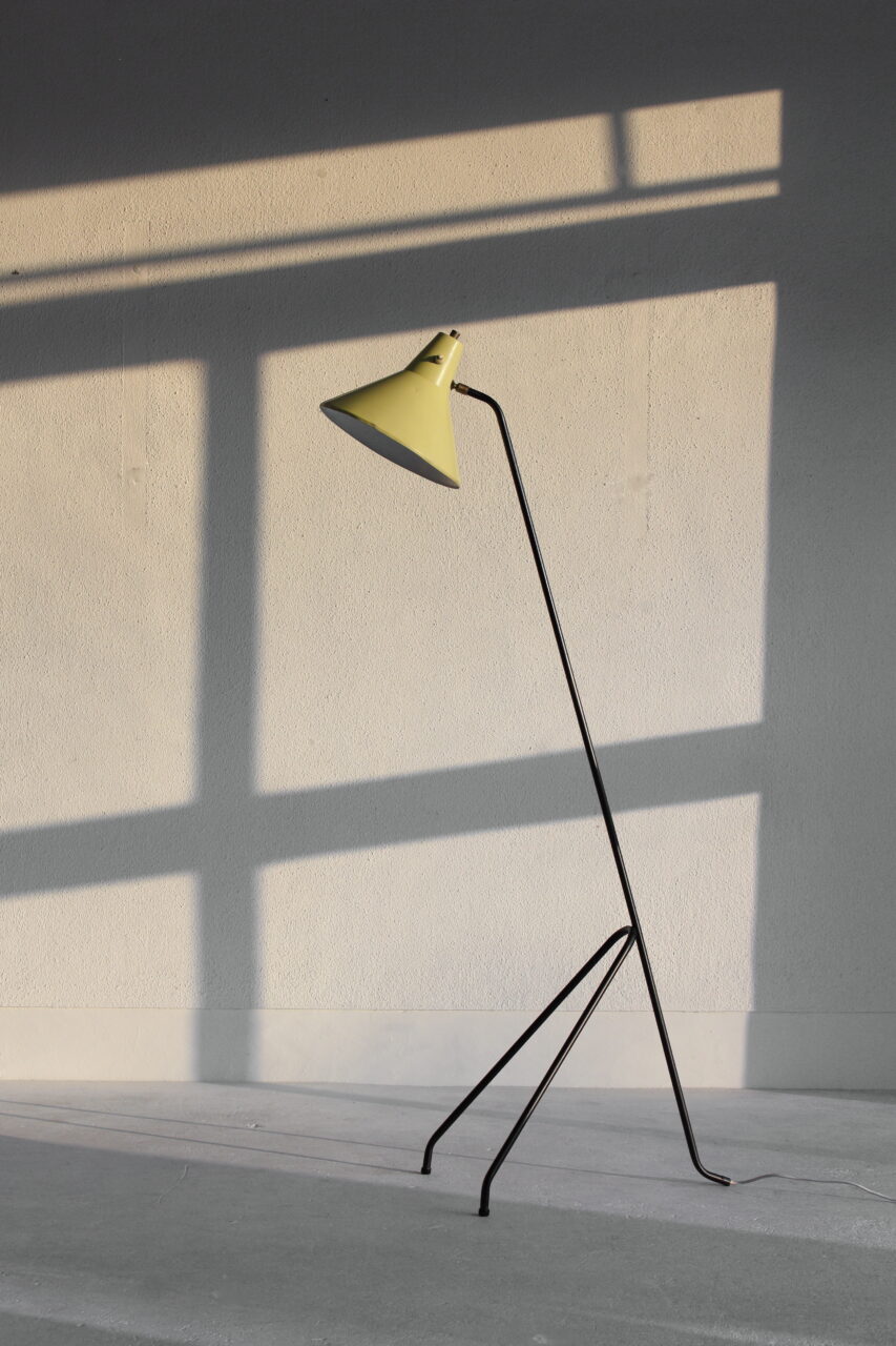 WILLEM VAN DOORN / GRASSHOPPER FLOOR LAMP