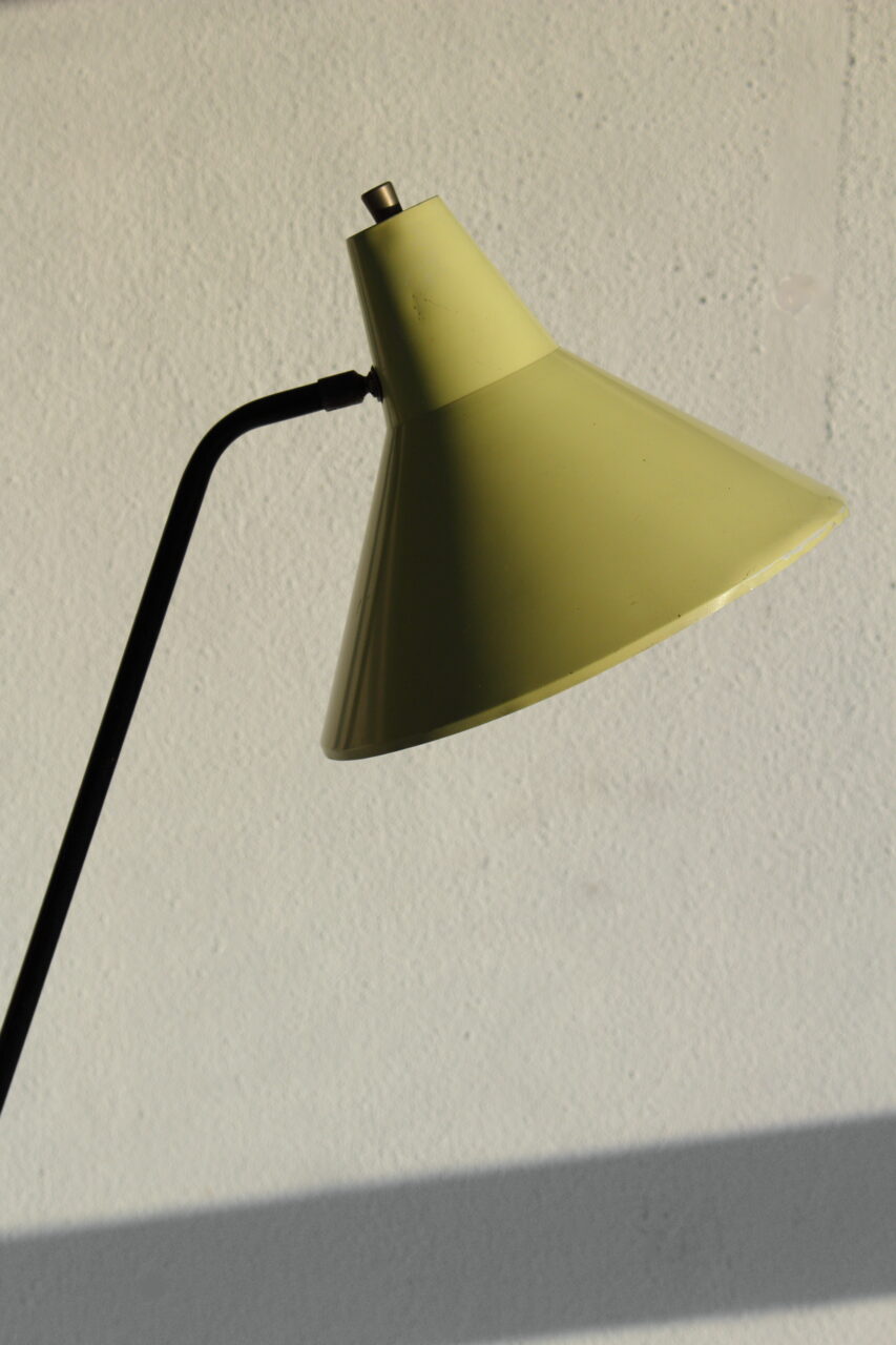 WILLEM VAN DOORN / GRASSHOPPER FLOOR LAMP