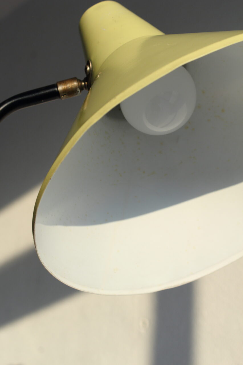 WILLEM VAN DOORN / GRASSHOPPER FLOOR LAMP