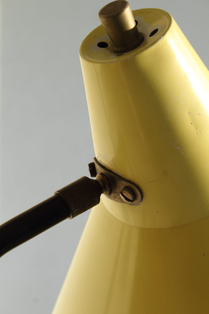 WILLEM VAN DOORN / GRASSHOPPER FLOOR LAMP