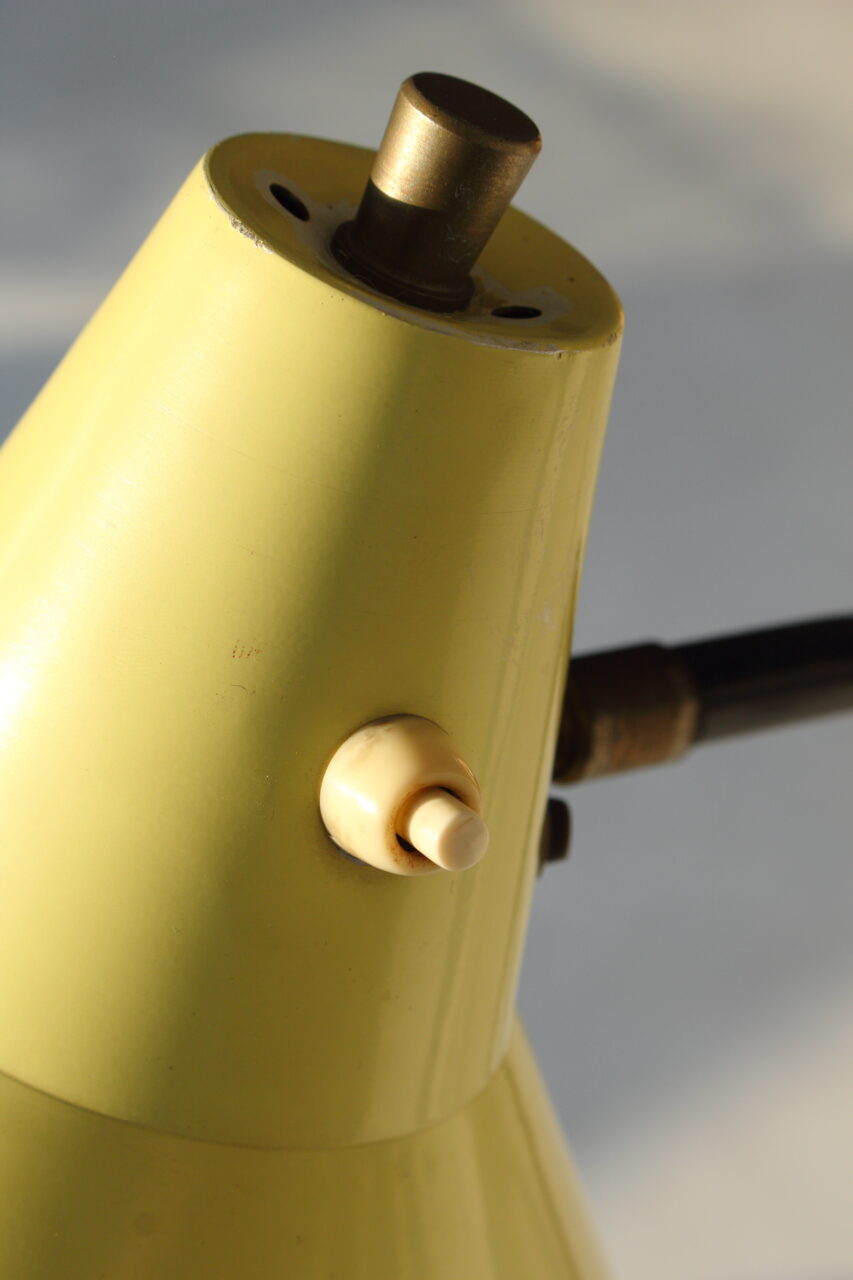 WILLEM VAN DOORN / GRASSHOPPER FLOOR LAMP