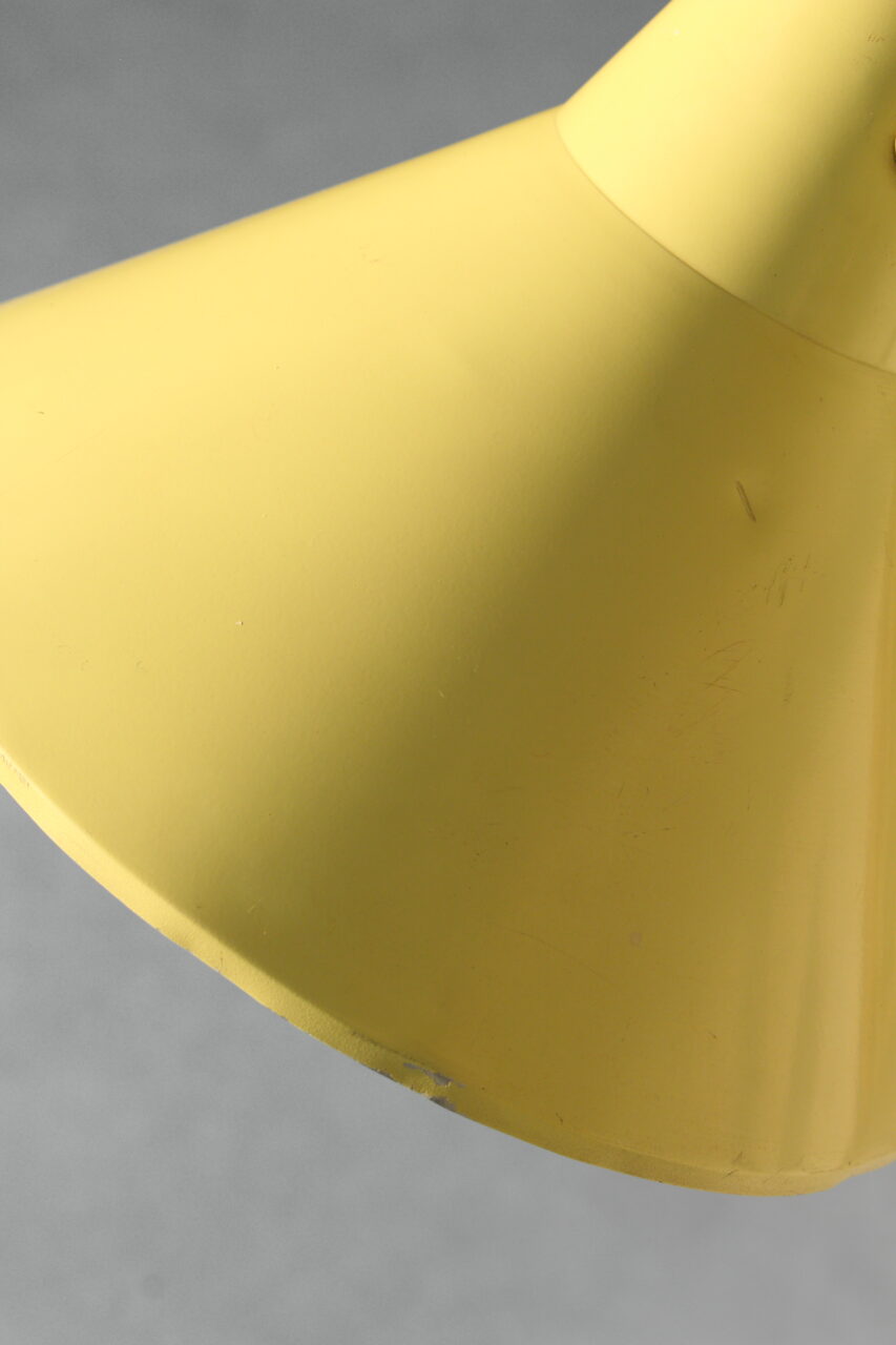 WILLEM VAN DOORN / GRASSHOPPER FLOOR LAMP