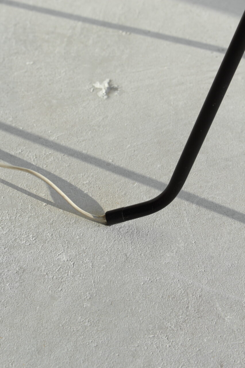 WILLEM VAN DOORN / GRASSHOPPER FLOOR LAMP