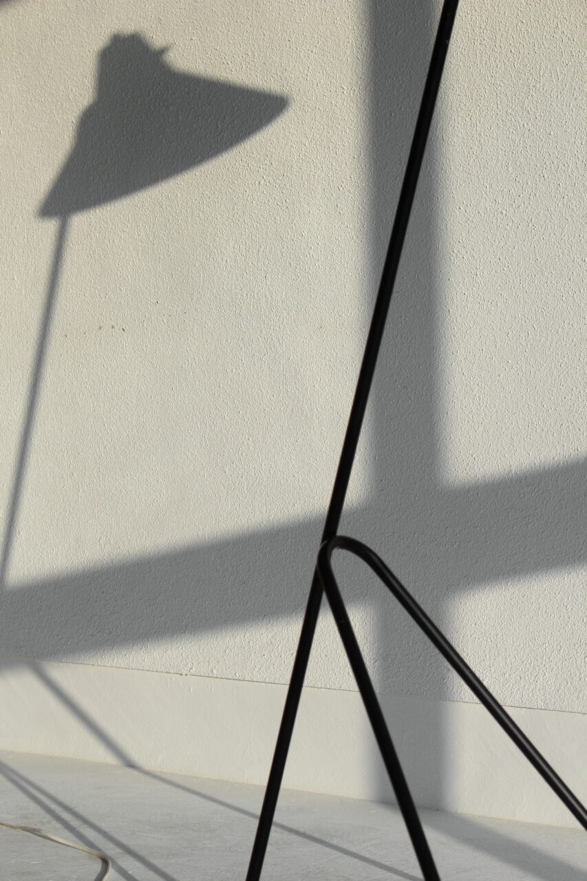 WILLEM VAN DOORN / GRASSHOPPER FLOOR LAMP