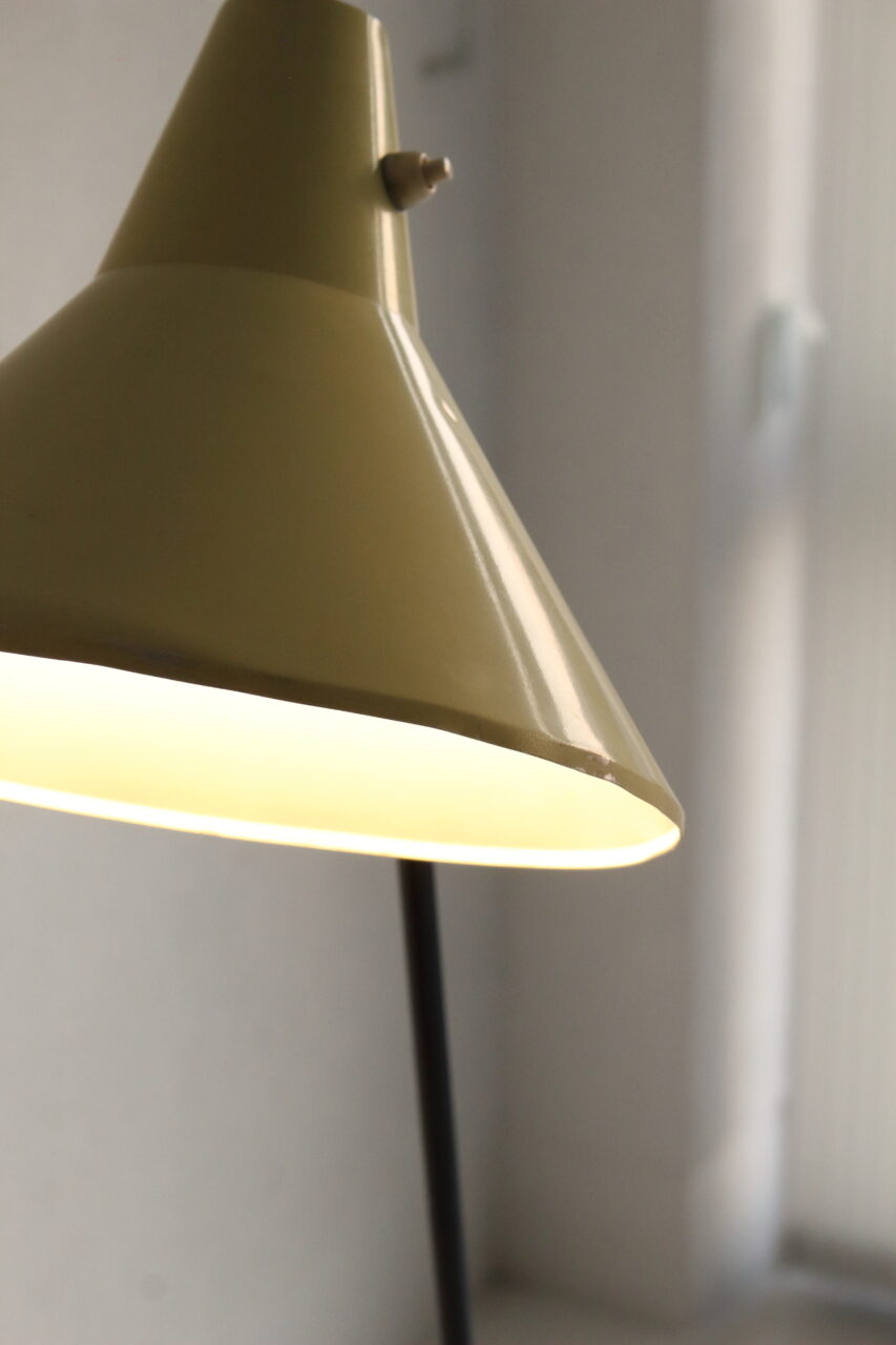 WILLEM VAN DOORN / GRASSHOPPER FLOOR LAMP