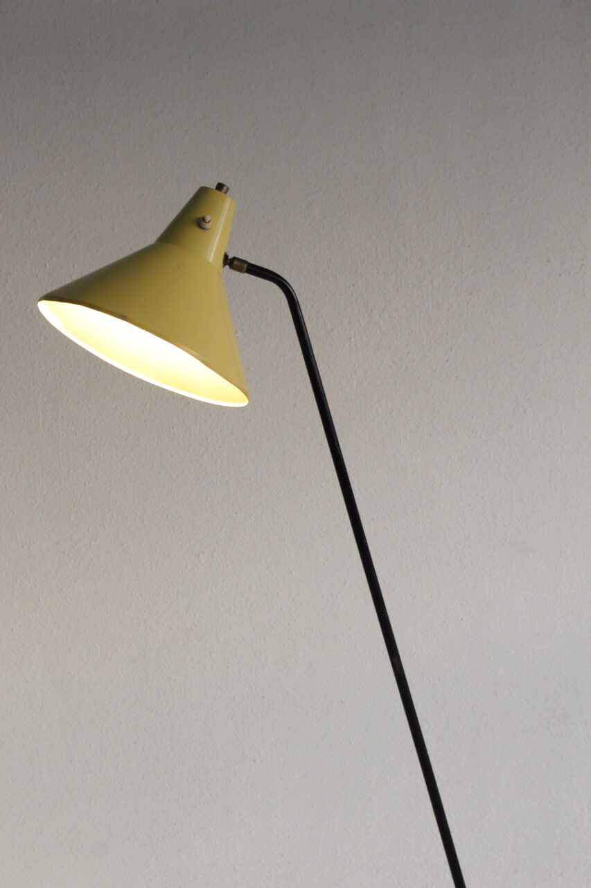 WILLEM VAN DOORN / GRASSHOPPER FLOOR LAMP