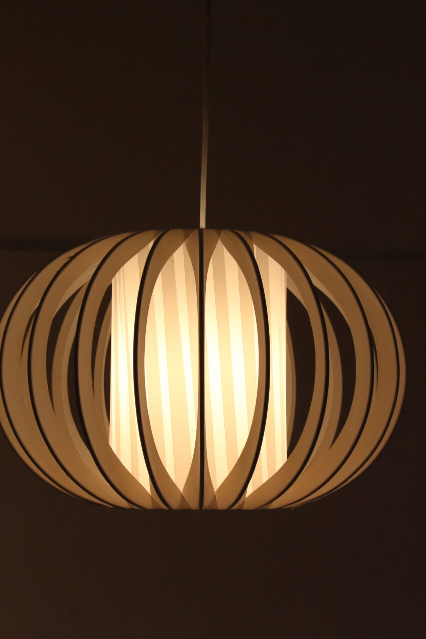 VINTAGE DANISH PENDANT LIGHT